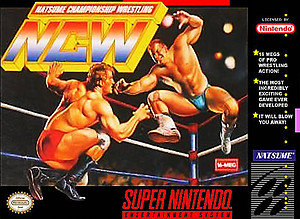 Natsume Wrestling (SNES)