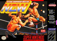 Natsume Wrestling (SNES)